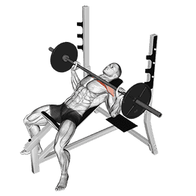 Incline Bench Press demonstration