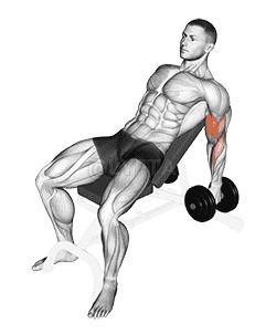 Dumbbell Incline Hammer Curl demonstration