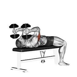 Dumbbell Lying Triceps Extension demonstration