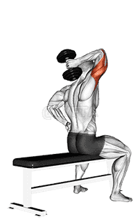 Dumbbell One Arm Triceps Extension demonstration