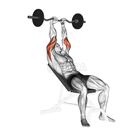 EZ Barbell Incline Triceps Extension demonstration