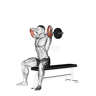 Seated Triceps Extension demonstration