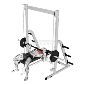 Smith Bench Press demonstration