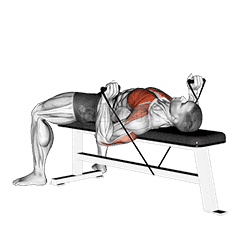 Band Bench Press demonstration