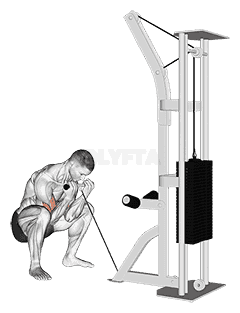 Cable Squatting Curl demonstration