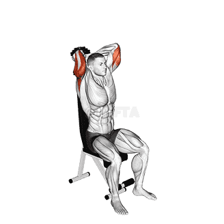 Dumbbell Seated Triceps Extension demonstration