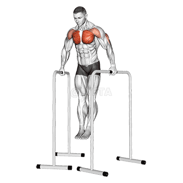 Wide-Grip Chest Dip on High Parallel Bars demonstration