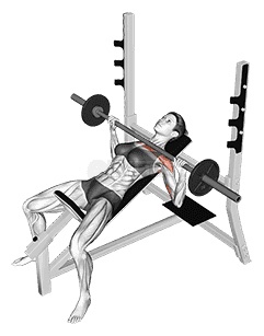 Barbell Incline Bench Press demonstration