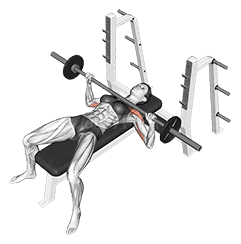 Barbell Bench Press demonstration