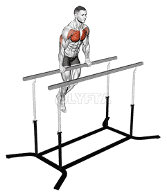 Chest Dip on Straight Bar demonstration