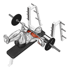 Barbell Bench Press demonstration