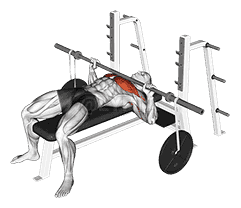 Barbell Bench Press demonstration