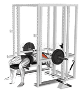 Barbell Weighted Bench Press demonstration