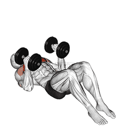 Dumbbell Lying on Floor Hammer Press demonstration