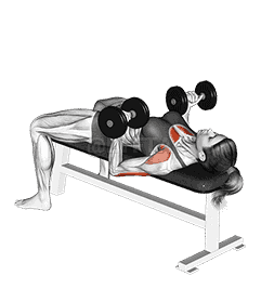 Dumbbell Reverse Bench Press demonstration