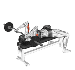 EZ-Barbell Lying Triceps Extension demonstration