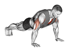 Weighted Push-up with Vest demonstration