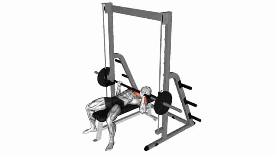 Thumbnail for the video of exercise: Smith Bench Press