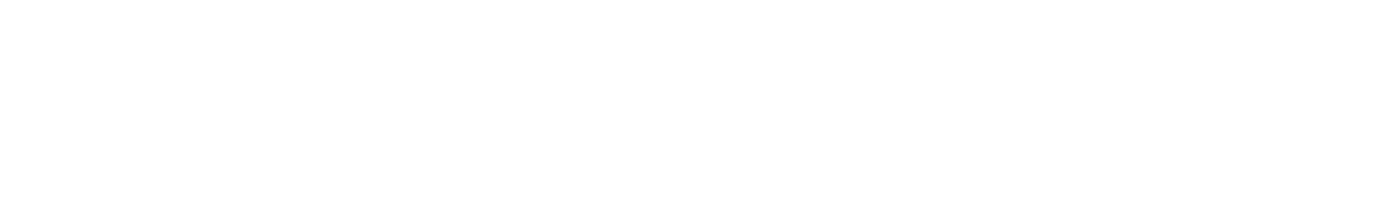 Electric Car Company